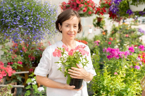 Happy Young Florist Eller Växthus Worker Med Krukväxter Petunior Stående — Stockfoto