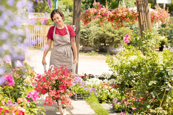 Felice Giovane Giardiniere Grembiule Spingendo Carrello Con Nuovi Tipi Fiori — Foto Stock