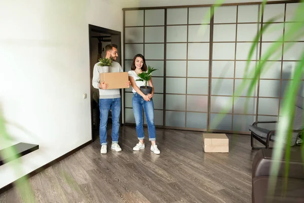 Pareja Joven Positiva Traje Casual Sosteniendo Plantas Caja Mientras Mudan — Foto de Stock