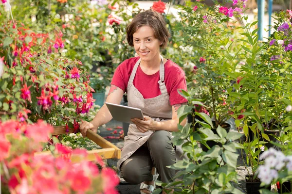 年轻的花园花卉销售商与触摸板检查有关新植物的信息 而坐在其中一个 — 图库照片