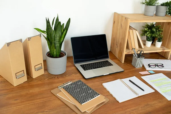 Flores Maceta Estante Mesa Portátil Cuadernos Papel Bolígrafo Carpetas Lugar — Foto de Stock