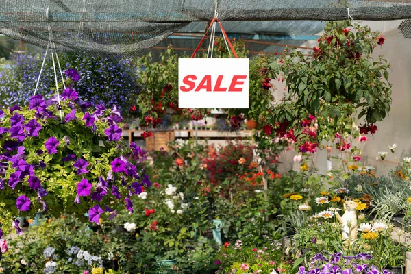 温室や花屋の中の様々な花の上に掛かる紙のシート上の販売発表 — ストック写真