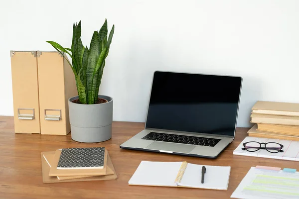 Arbeitsplatz Des Büroleiters Oder Studenten Mit Laptop Topfpflanze Notizbüchern Büchern — Stockfoto