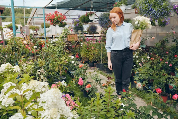 红发女孩在休闲服装走在美丽的温室和选择鲜花为自己的商店 — 图库照片