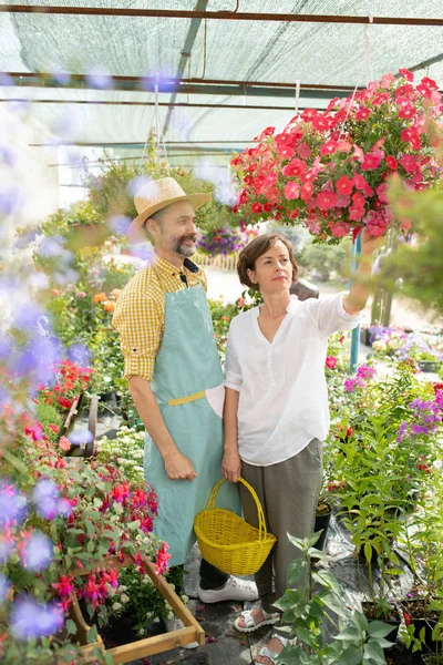 彼らの頭の上にぶら下がっているポットのペチュニアの新しい種類を見て2つの現代的な花のベンダー — ストック写真