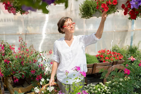 Lycklig Ung Kvinna Casualwear Röra Krukväxter Petunior Stående Bland Blommor — Stockfoto