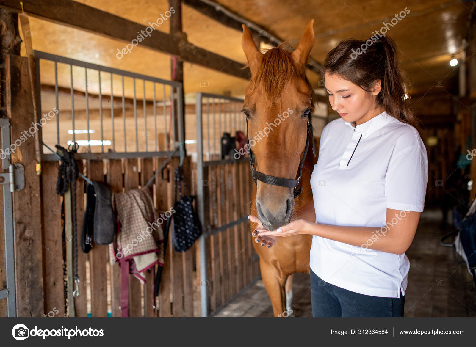 white polo shirt with brown horse