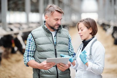 Whitecoat ve lastik eldivenli genç veteriner çiftlik işçilerine online bilgileri gösteriyor ya da açıklıyor