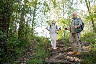 Tepede durup doğaya bakarken ormanda gezinti yapan mutlu yaşlılar.