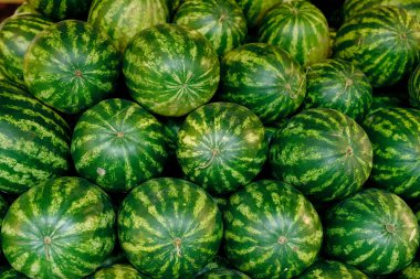 Süpermarkette arkaplan olarak kullanılabilecek olgunlaşmış yeşil karpuz yığını