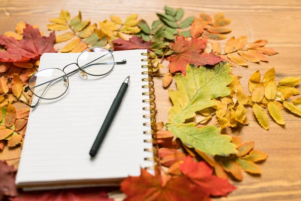 Composição Outono Que Consiste Folhas Coloridas Que Cercam Copybook Com — Fotografia de Stock