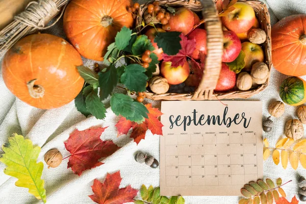 September Harvest Ripe Apples Walnuts Basket Pumpkins Acorns Leaves Making — Stock Photo, Image