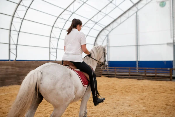 Vista Posterior Del Caballo Carreras Blanco Con Joven Mujer Activa — Foto de Stock