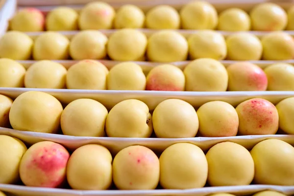 Várias Fileiras Nectarinas Amarelas Maduras Frescas Damascos Exibição Frutas Dentro — Fotografia de Stock