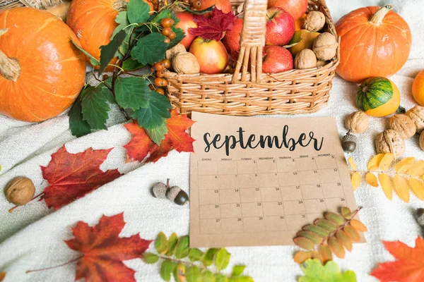 September Background Basket Ripe Apples Pumpkins Walnuts Acorns Autumn Leaves — Stock Photo, Image