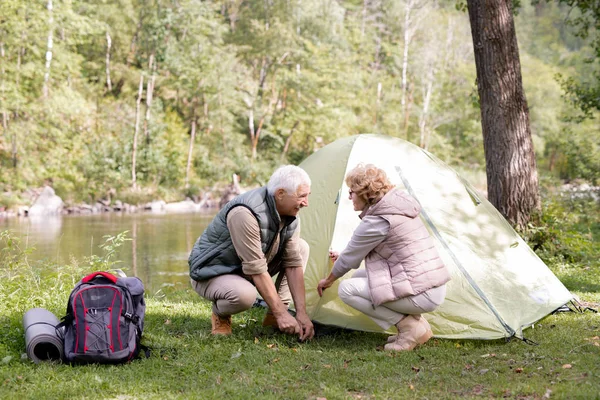 Escursionisti Maturi Activewear Mettere Tenda Sull Erba Verde Lungo Fiume — Foto Stock