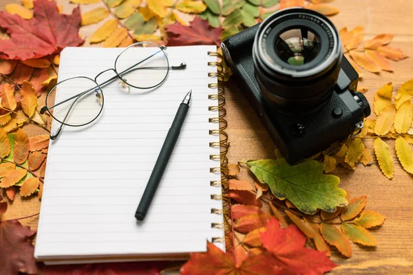 フォトカメラ 眼鏡とペンとカラフルな秋の葉を持つコピーブックの空白のページ周り — ストック写真
