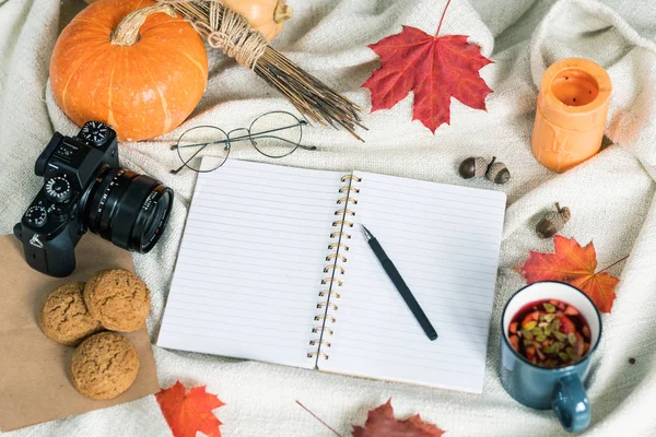 Composizione Del Raccolto Autunnale Cibo Bevande Educativo Altri Oggetti Asciugamano — Foto Stock