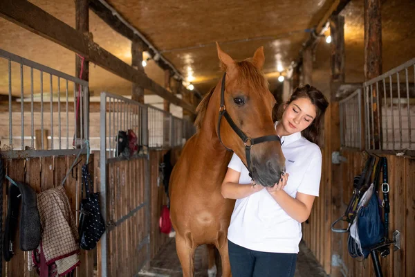 Young Active Woman White Shirt Standing Stable Brown Purebred Racehorse — Stock Photo, Image