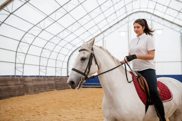 本格的な若いですアクティブ女性まっすぐ見ながら乗馬白い純血馬上のトレーニング中アリーナ — ストック写真