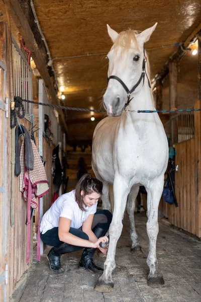 Cavallo Corsa Razza Bianca Piedi Sul Pavimento Legno Fienile Mentre — Foto Stock