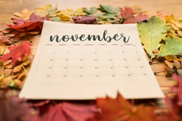 Calendário Novembro Folha Papel Cercada Por Várias Folhas Outono Cores — Fotografia de Stock