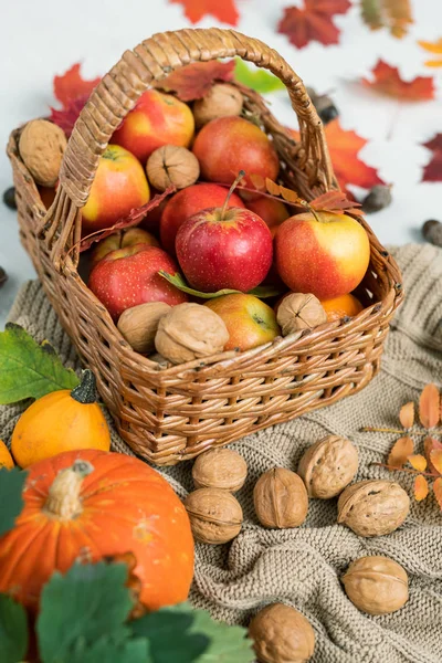 Basket Ripe Apples Walnuts Red Leaves Standing Knitted Sweater Two — Stock Photo, Image