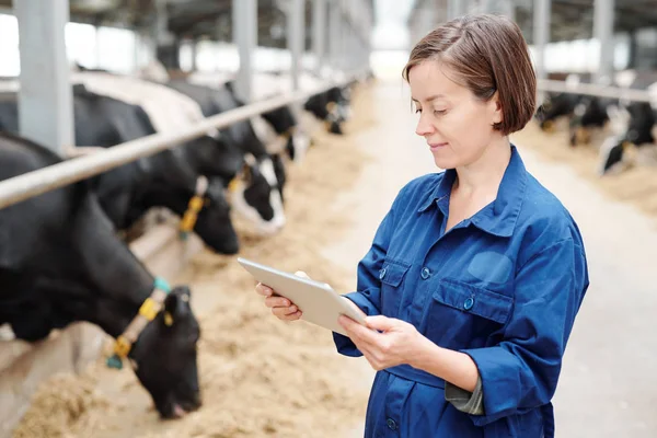 Trabajadora Joven Seria Granja Animales Uniforme Usando Touchpad Para Encontrar — Foto de Stock