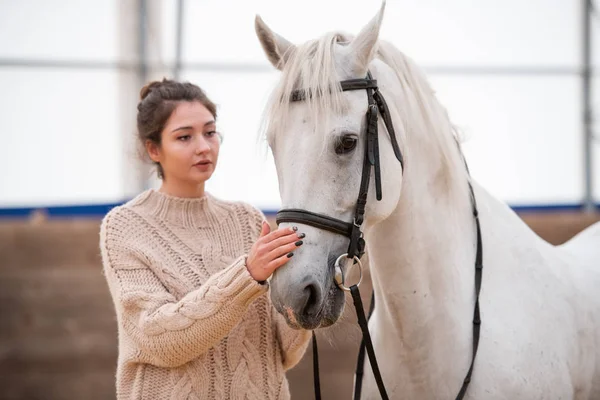 Young Brunette Woman White Knitted Woolen Sweater Standing White Racehorse — Stock Photo, Image