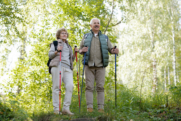 Зрелые активные мужчина и женщина с треккинговыми палками стоят среди зеленых деревьев в лесу во время похода
