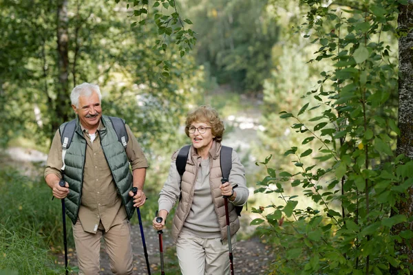 Fröhliche Ältere Aktive Paar Genießen Trekking Wald Oder Park Beim — Stockfoto