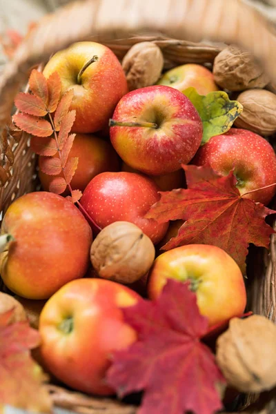 Pile Red Ripe Apples Walnuts Basket Some Maple Rowan Leaves — Stock Photo, Image