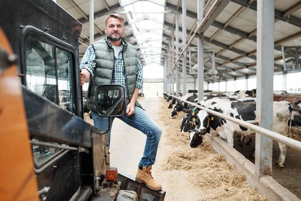 牛の列の間の通路上の作業装置に立っている間 あなたを見て大規模な動物農場の男性労働者 — ストック写真