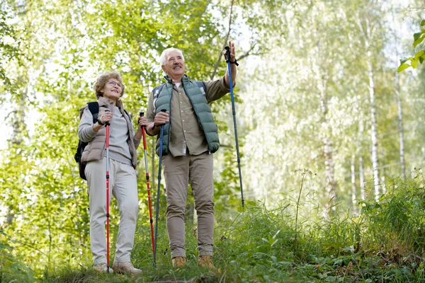 Glücklicher Senior Zeigt Seiner Frau Den Weg Den Wald Während — Stockfoto