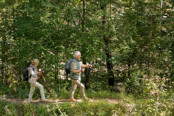 Oudere Echtpaar Activewear Wandelen Bospad Met Wandelstokken Terwijl Het Doorbrengen — Stockfoto