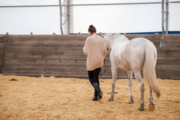 白い競走馬の花嫁を保持しながら両方の下の砂のアリーナに移動しながら カジュアルウェアで若い女性の後部ビュー — ストック写真