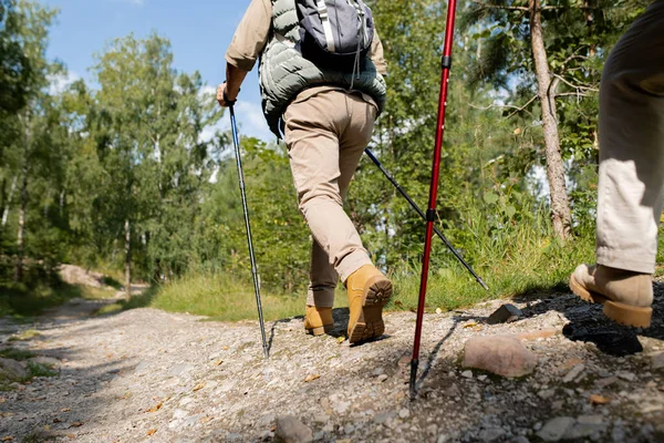背景に松と青空を背景に森の道を歩くトレッキングスティックを持つアクティブな男のバックビュー — ストック写真