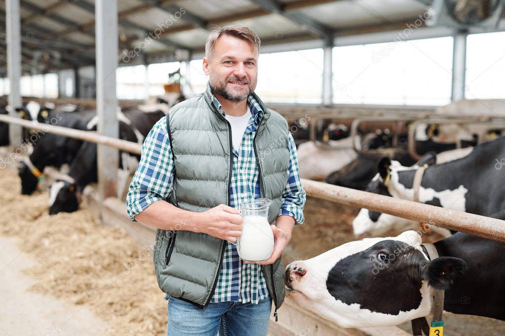 Happy young worker of dairy farm holding jug with fresh milk while standing by cowshed, one of cows smelling him