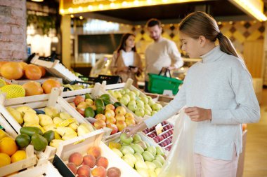 Hoş, sıradan bir kız, ailesiyle süpermarkete giderken pakete koymadan önce yeşil elmayı sergiden alıyor.