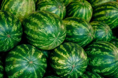 Süpermarkette sergilenen tarım ürünlerinin bir parçası olan büyük yeşil karpuzlar yığını oluşturuyor.