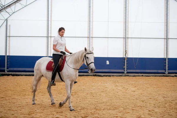 Młoda Sportowiec Obcisłych Dżinsach Białej Koszuli Polo Siedząca Grzbiecie Konia — Zdjęcie stockowe