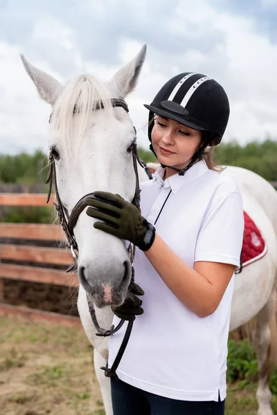 Молодая Активная Самка Обнимает Намордник Белой Чистокровной Скаковой Лошади Кобылы — стоковое фото