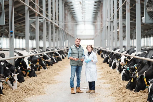 Two Young Confident Workers Large Contemporary Dairy Farm Standing Long — Stock Photo, Image
