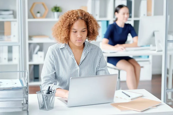 Allvarligt Lockig Ung Affärskvinna Som Sitter Vid Skrivbordet Framför Laptop — Stockfoto