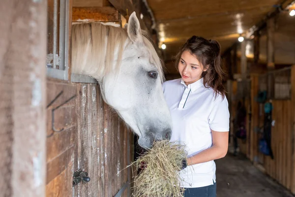 Молодая Спортивная Женщина Повседневной Одежде Смотрит Белую Лошадь Кормя Свежим — стоковое фото