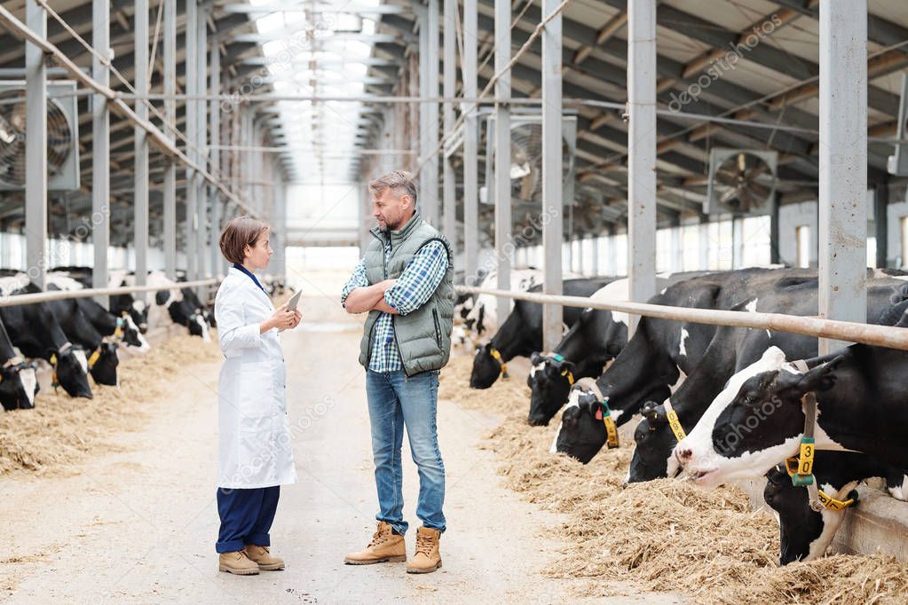 Young female worker of dairy farm in whitecoat standing in front of her colleague during working conversation