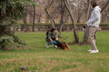 Günlük giysili, koruyucu eldivenli ve maskeli genç bir kadın parktaki yeşil çimlerde köpekle oynarken erkek arkadaşı yakınlardaydı.