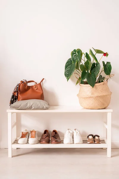 Estantes Blancos Con Calzado Deportivo Casual Bolso Cuero Marrón Planta —  Fotos de Stock