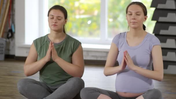 Medium Shot Van Zwangere Vrouw Haar Vrouwelijke Yoga Trainer Zittend — Stockvideo