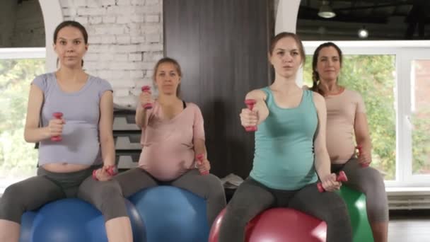 Группа Четырех Беременных Женщин Сидит Шарах Стабильности Выполняет Упражнения Гантелями — стоковое видео